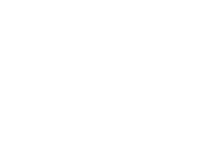 Viking Access Systems